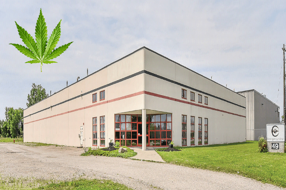 Marijuana Facility